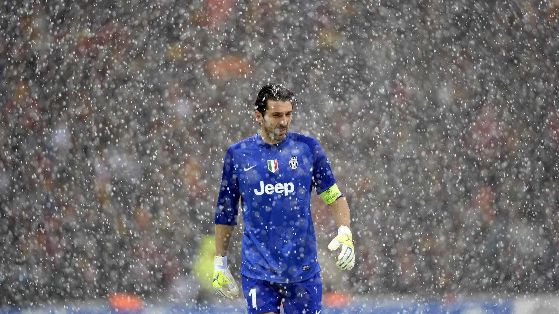 新秀崭露头角，未来之星迎来爆发！，未来之星指什么人物